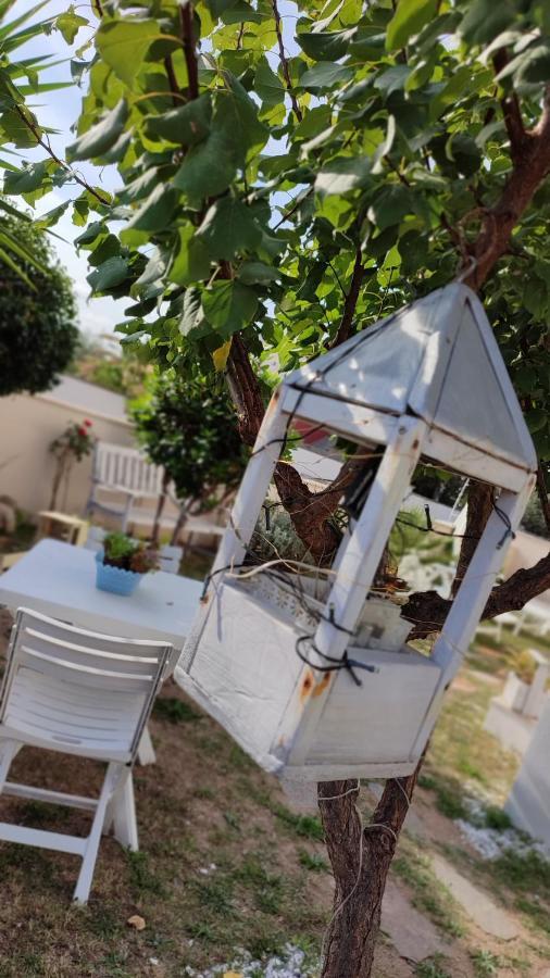 Casa Vacanze Olbia Eksteriør billede