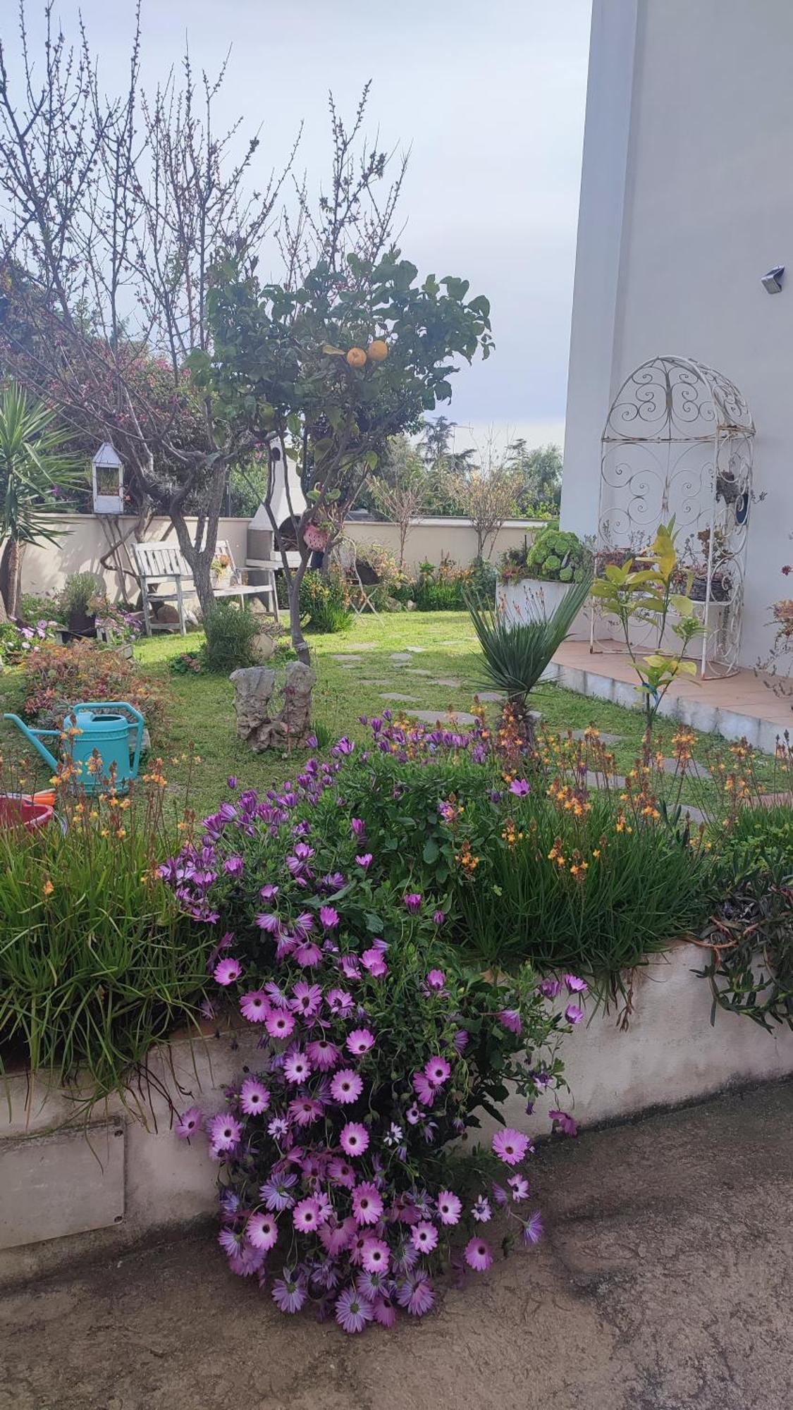 Casa Vacanze Olbia Eksteriør billede